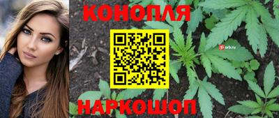 стафф Сланцы