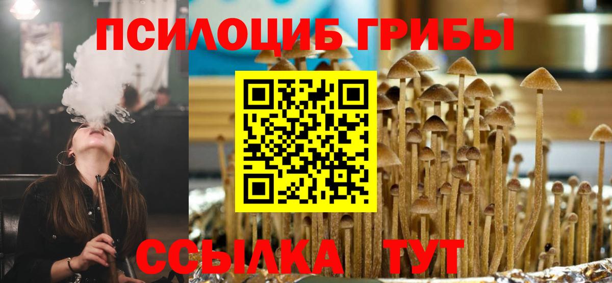 Отрадное  хочу   Вход с VPN  Псилоцибиновые грибы прущие грибы  Галлюциногенные грибы мухоморы 