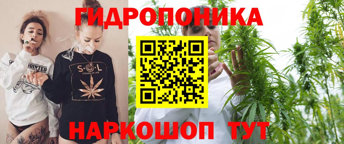 МАРИХУАНА OG Kush Отрадное